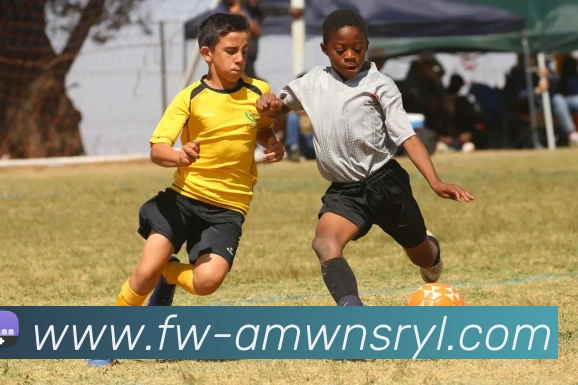 威尼斯人官网平台生态图